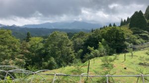 奥阿蘇フルーツガーデンからの景色の写真